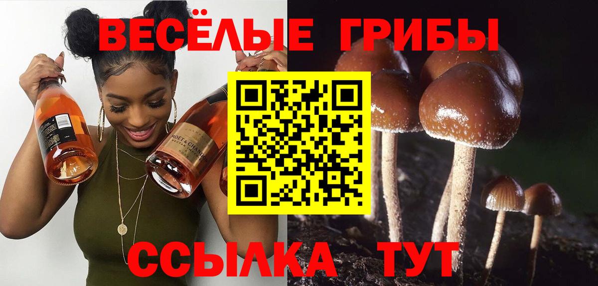 Галлюциногенные грибы Magic Shrooms  купить  сайты  Гусиноозёрск  Вход с VPN 