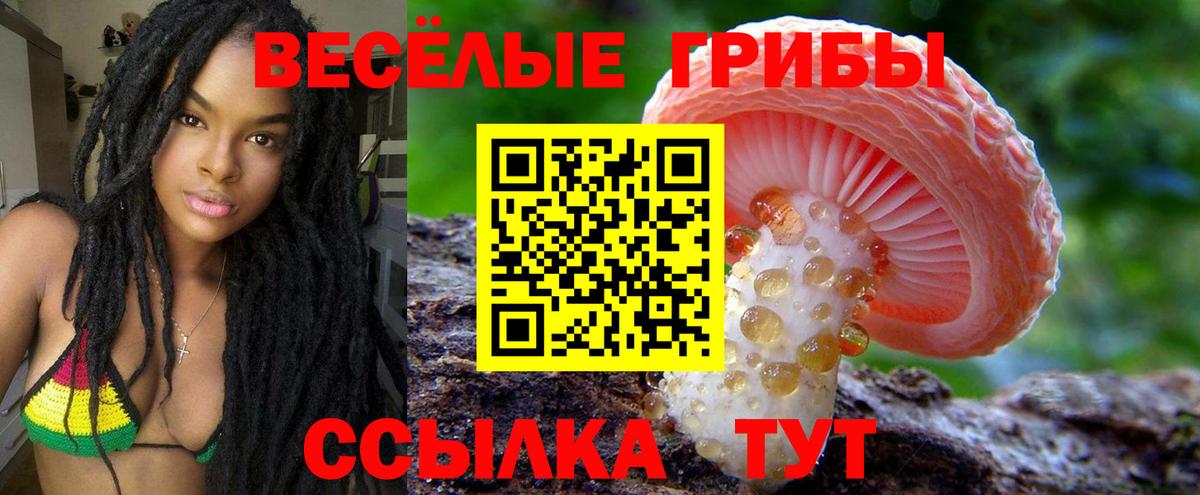 Псилоцибиновые грибы ЛСД Гусиноозёрск